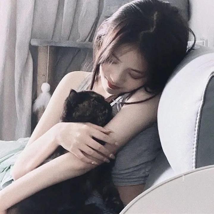 来自收容所的爱